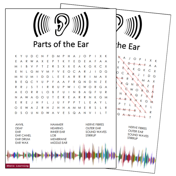 Ear eye anatomy crossword wordmint puzzle