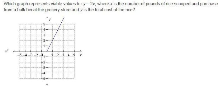 Which graph represents viable values for y 2x