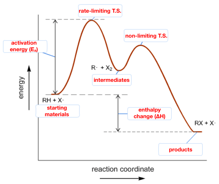 Label the energy diagram for a two-step reaction