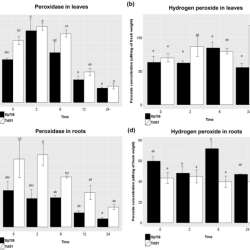 How would you characterize the peroxidase activity of carrots